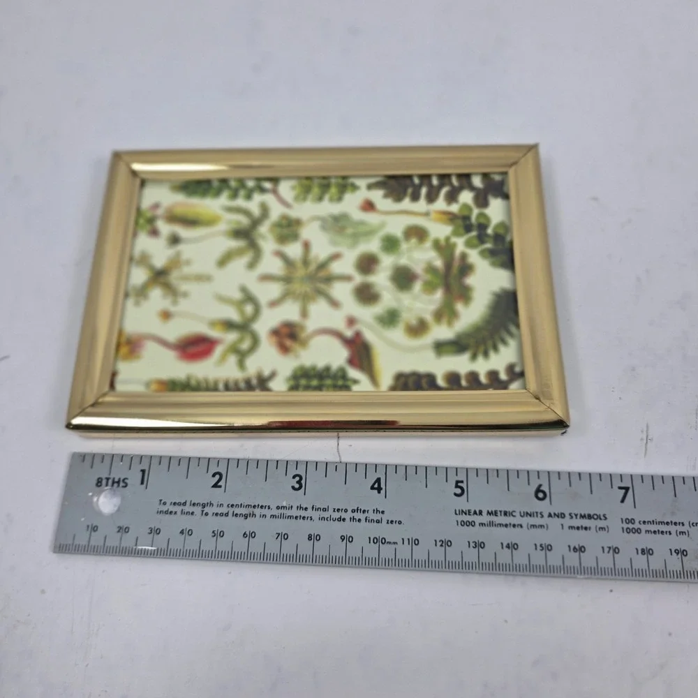Vintage Brass Frame Botanical Print Velvet Back Glass Front 6.25